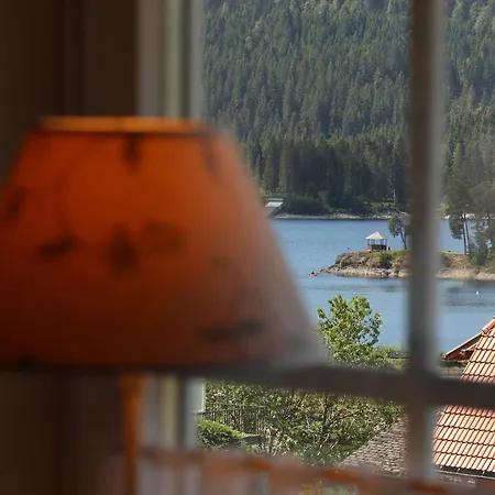 Landhaus-vintage Fe-wo-apartment 5 Apartament Schluchsee
